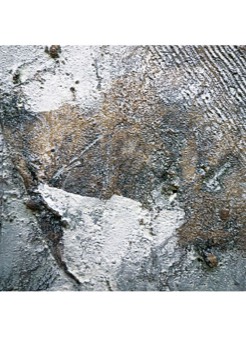  53 