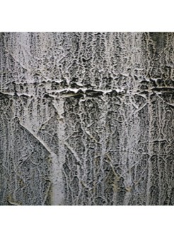  58 